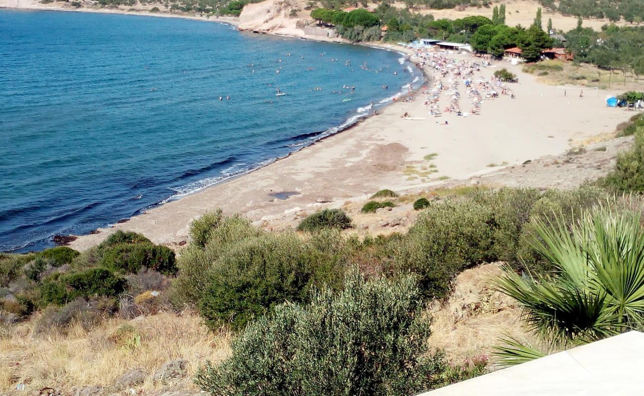 Photo of Akliman beach with bright sand surface