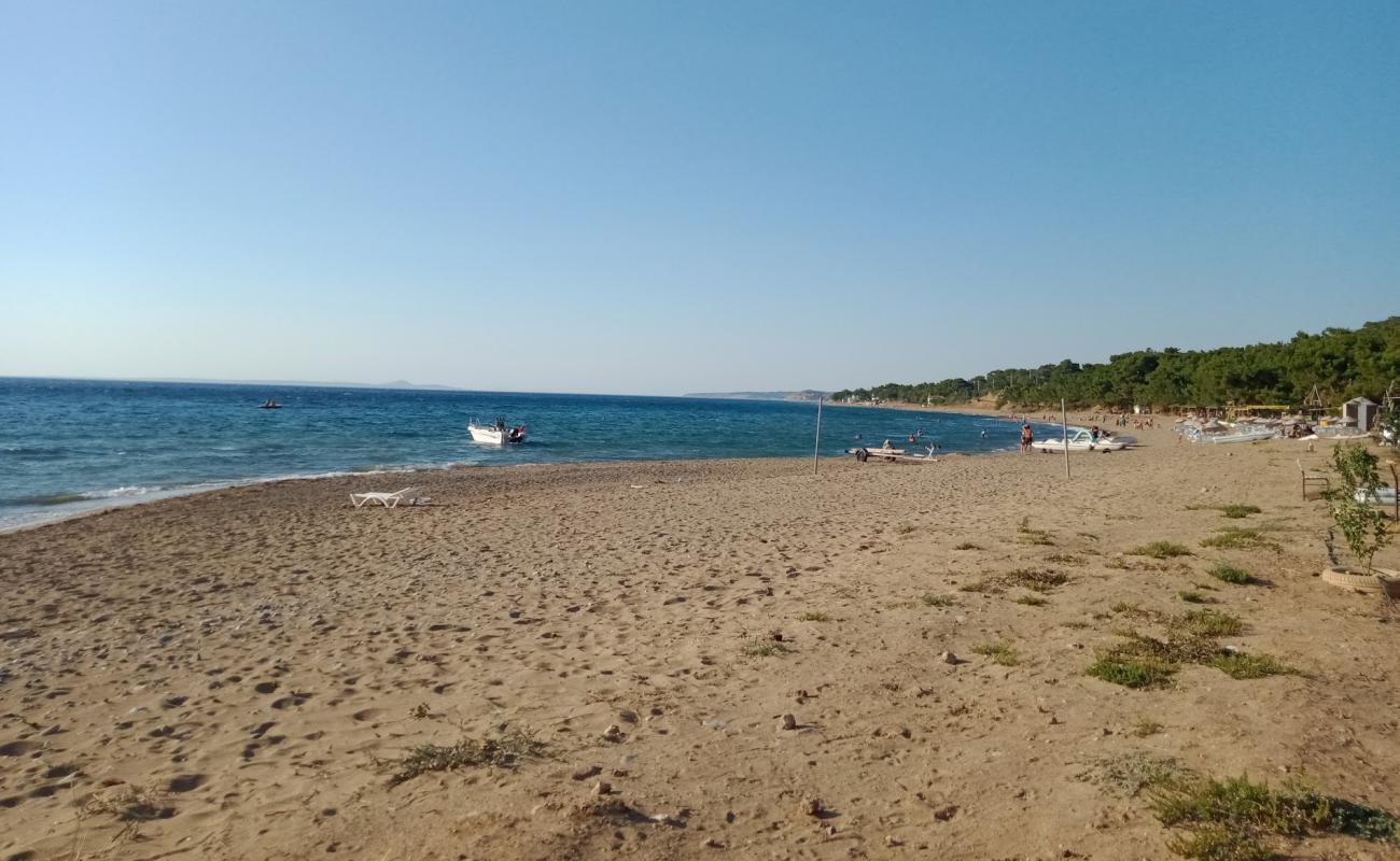 Photo of Camlik Camp beach with bright sand surface