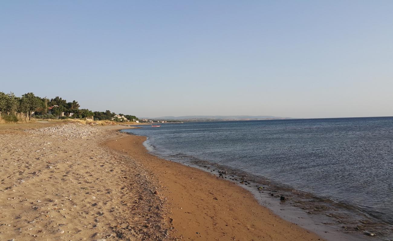 Photo of Agora Camp beach with light sand &  pebble surface