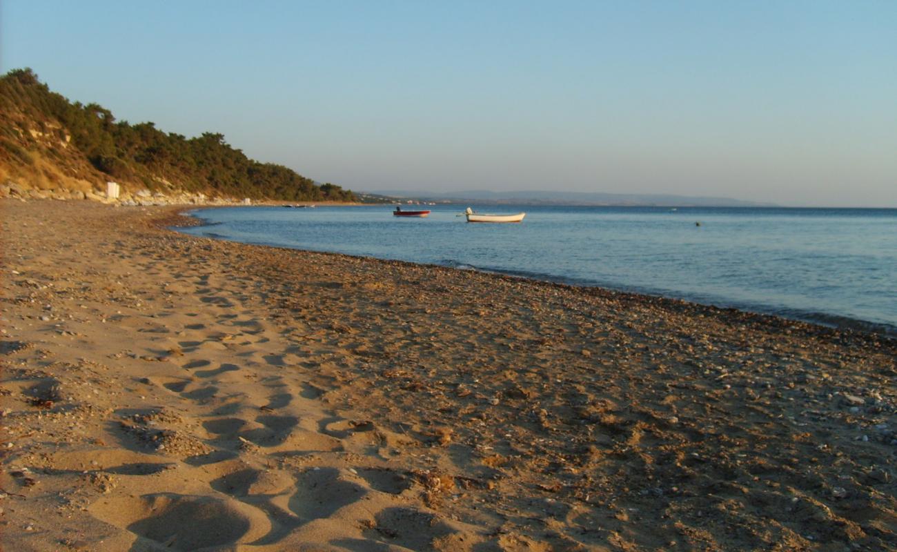 Photo of Ida beach with bright sand surface