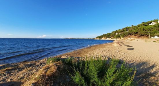 Gunestepe beach