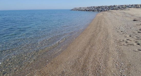 Dalyan Marina beach