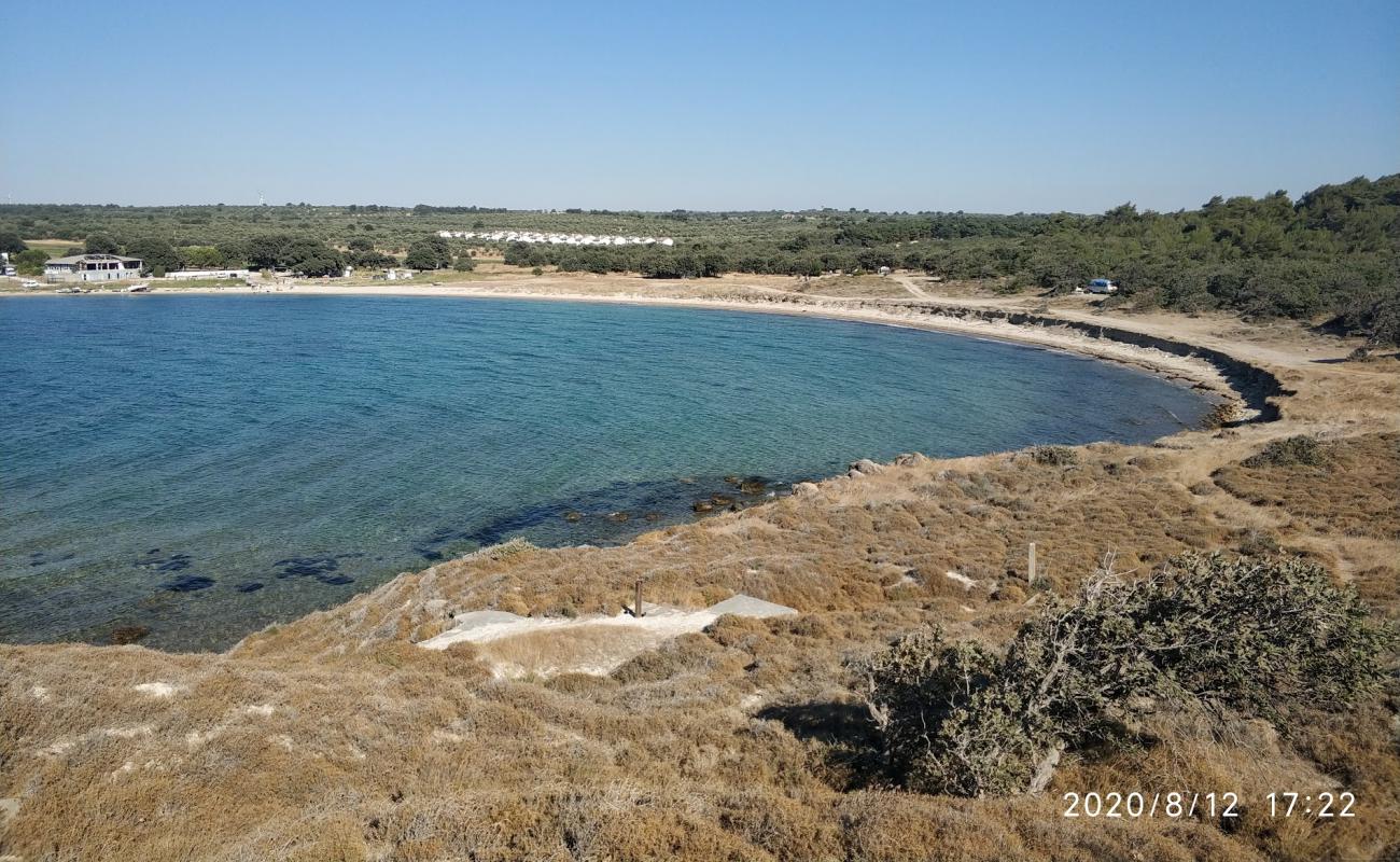 Photo of Eyvah eyvah with bright sand surface