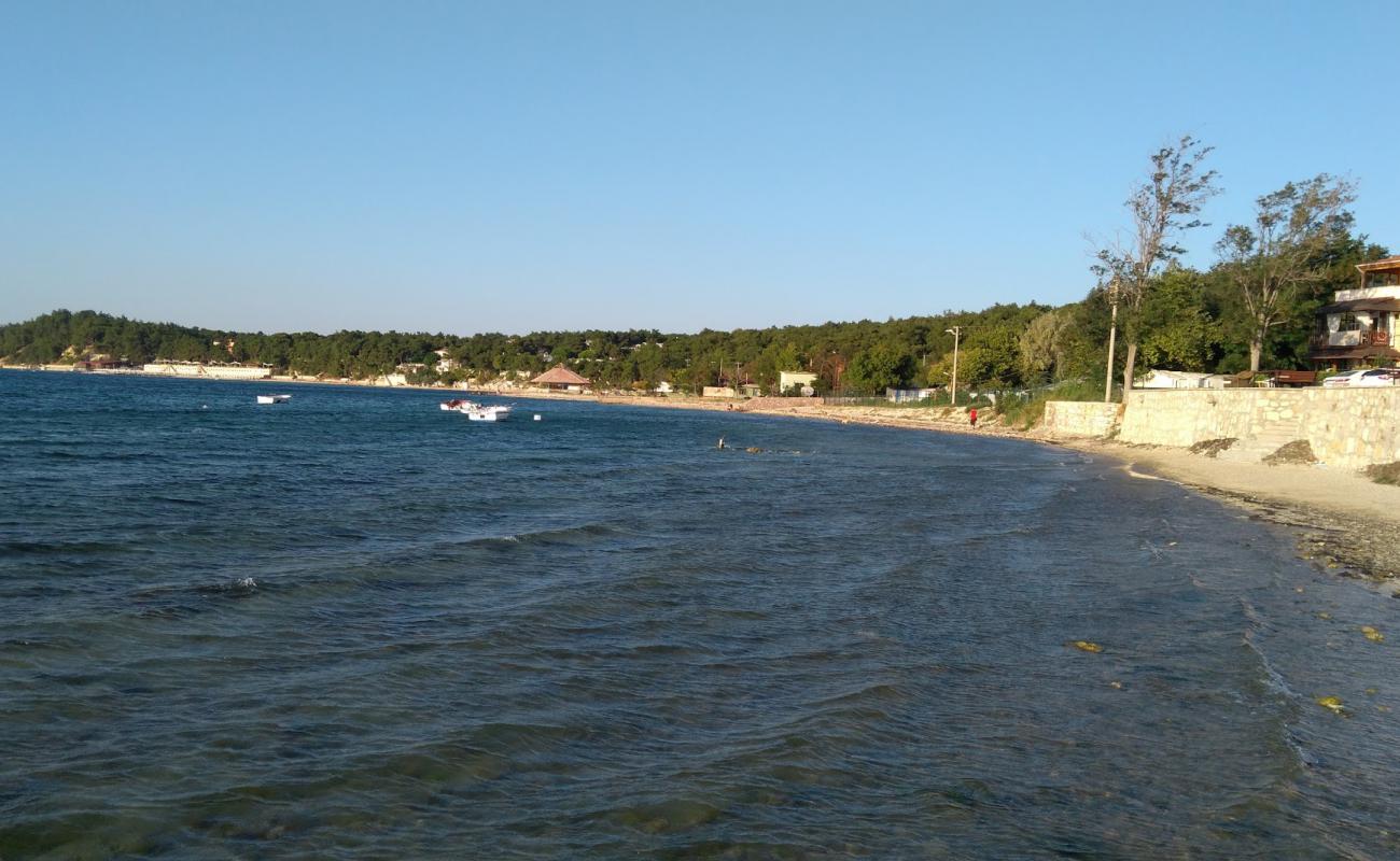 Photo of Pamira park beach with light sand &  pebble surface