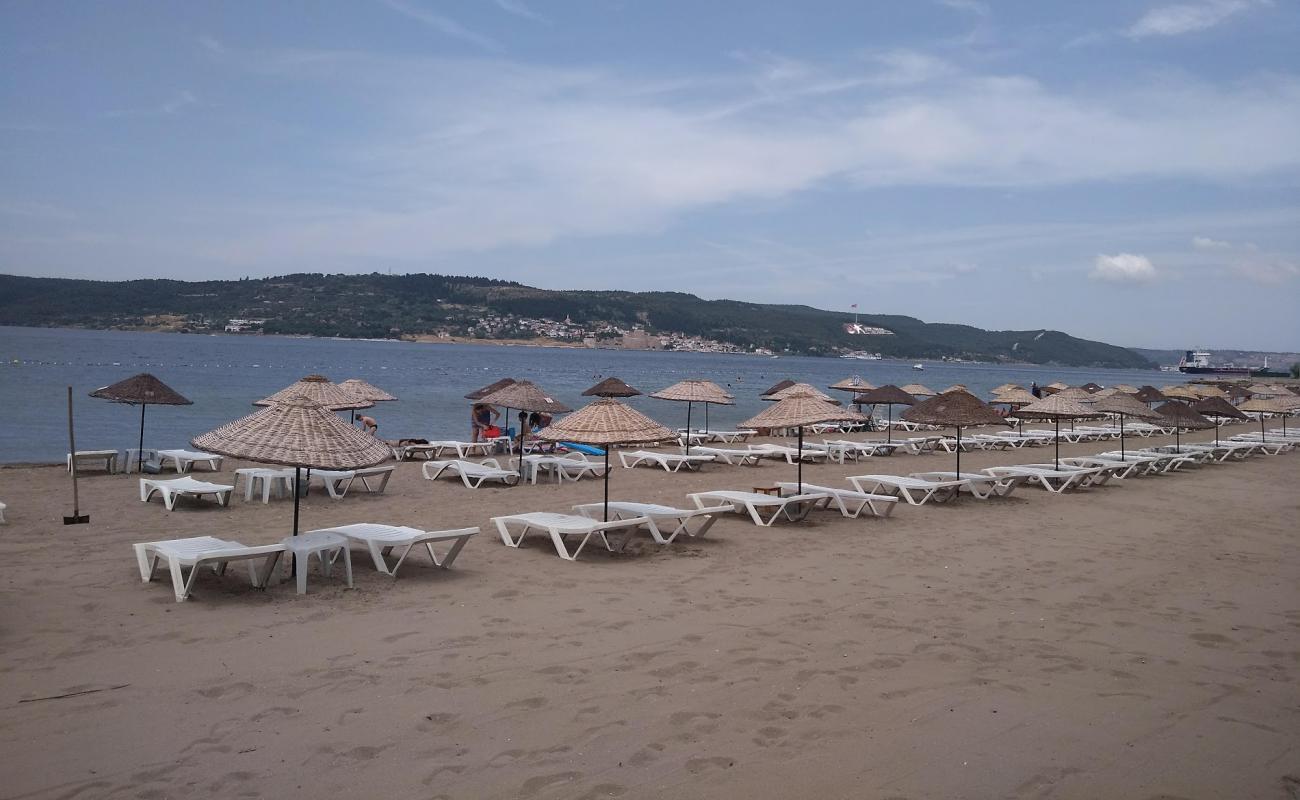 Photo of DSI beach with bright sand surface