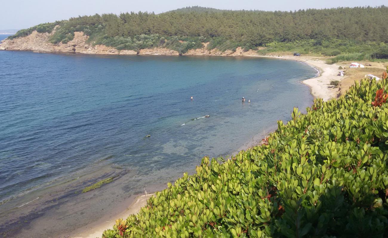 Photo of Tripce beach with light sand &  pebble surface