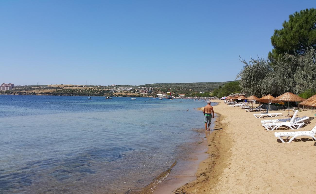 Photo of Erdek beach II with bright sand surface