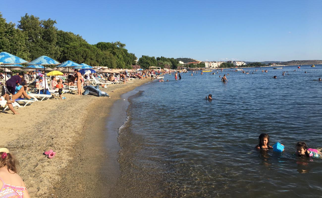 Photo of Erdek beach with bright sand surface