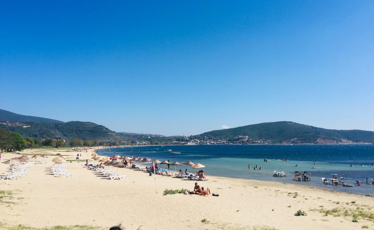 Photo of Ocaklar beach with bright sand surface