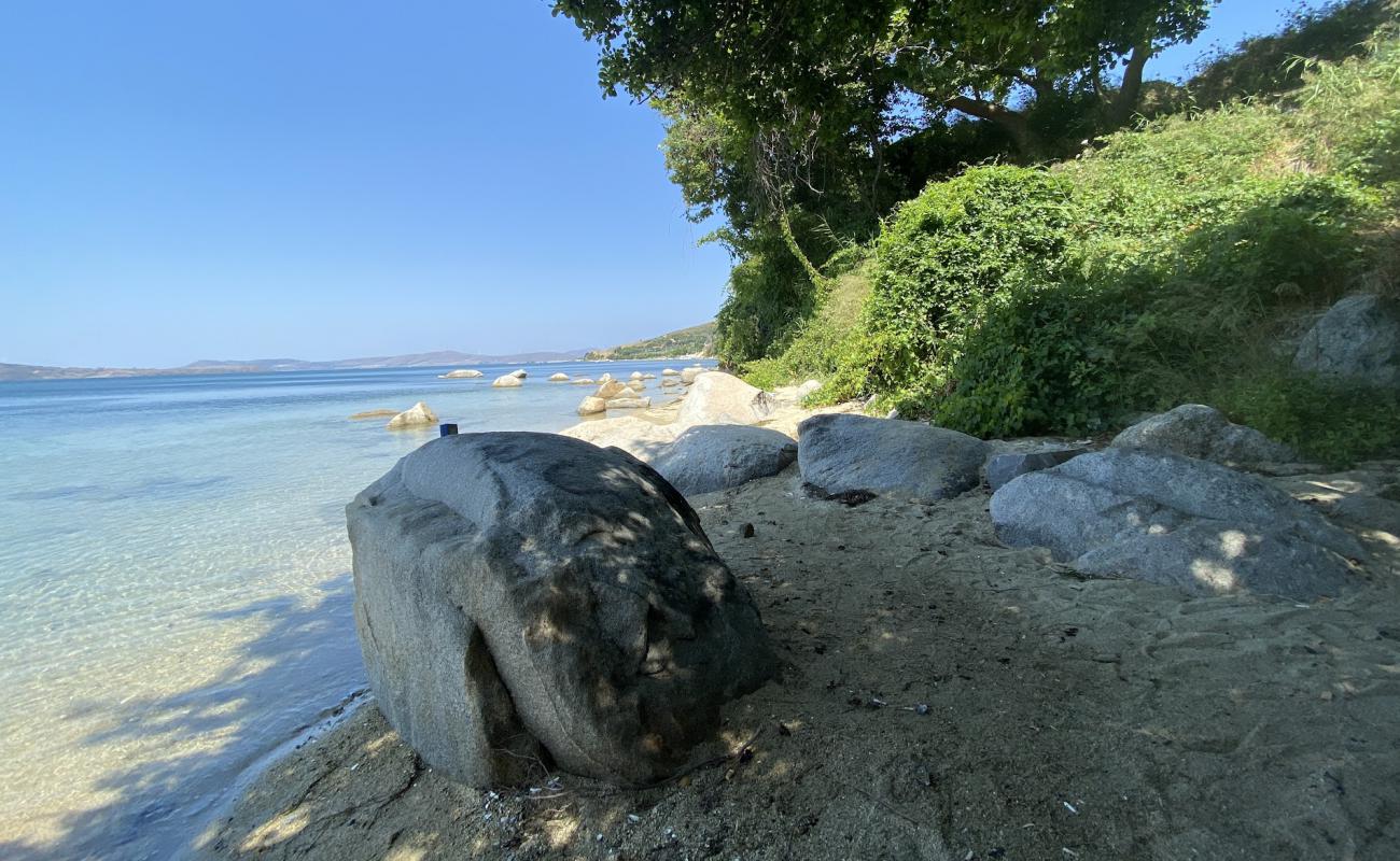 Photo of Faruk's Dark beach with bright sand surface