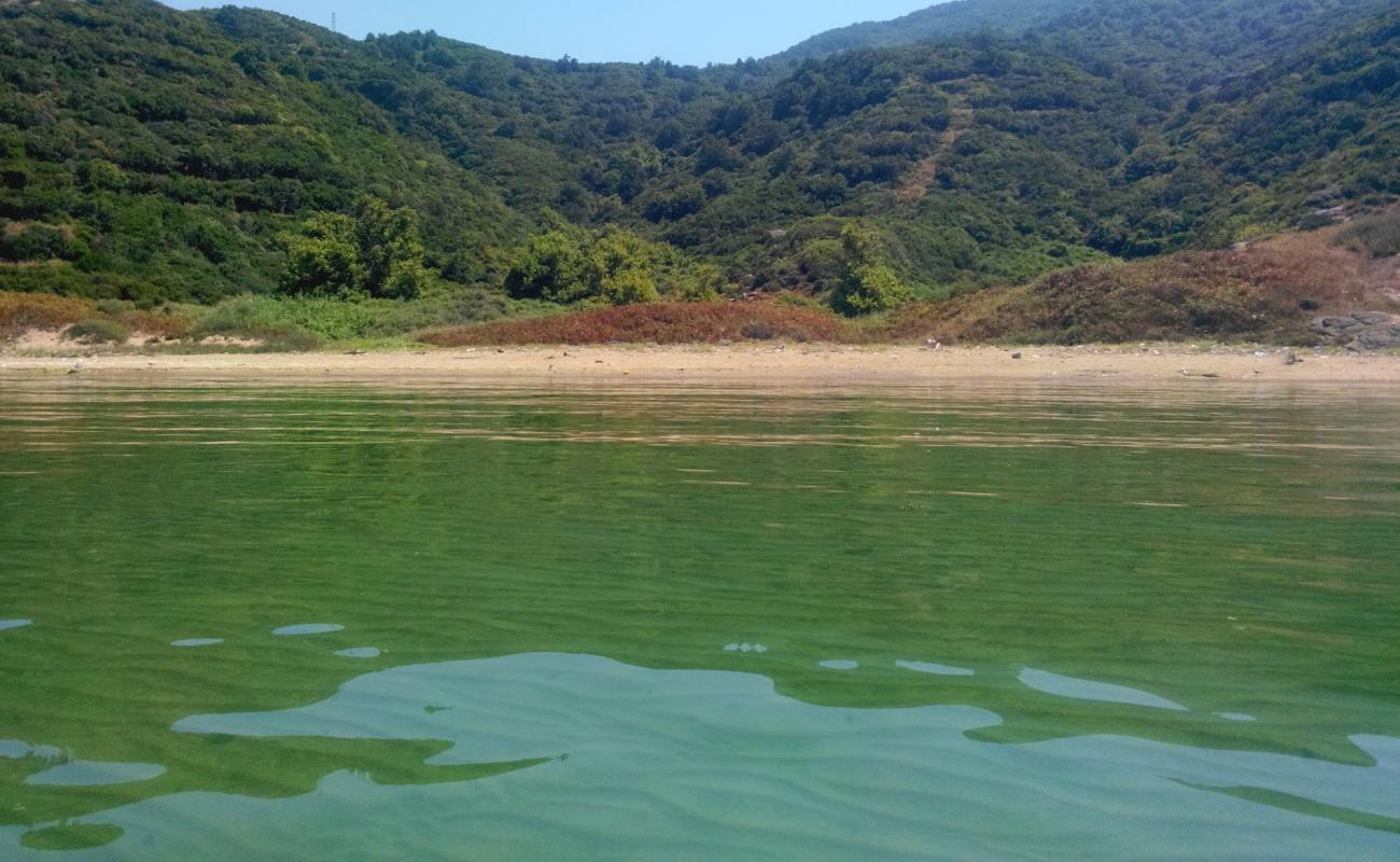 Photo of Ballipinar beach IV with bright sand surface