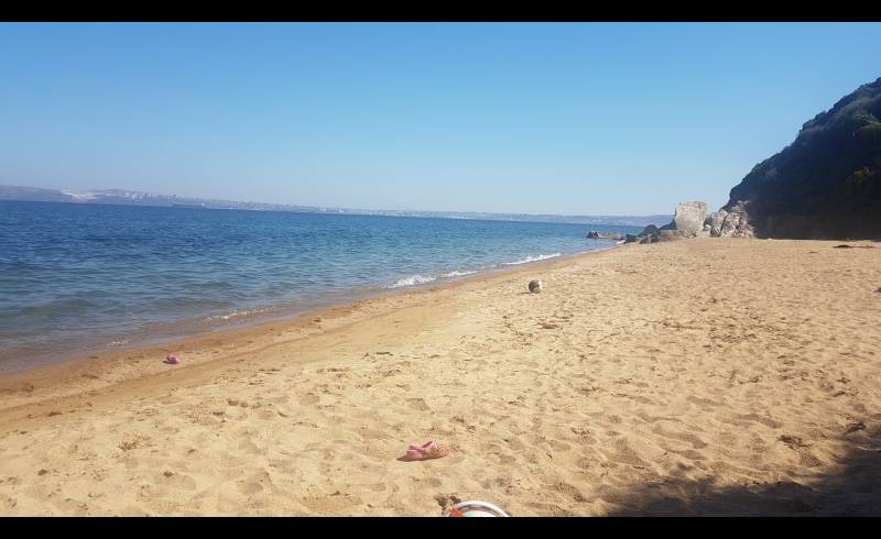 Photo of Tanasa Sahil beach with brown sand surface