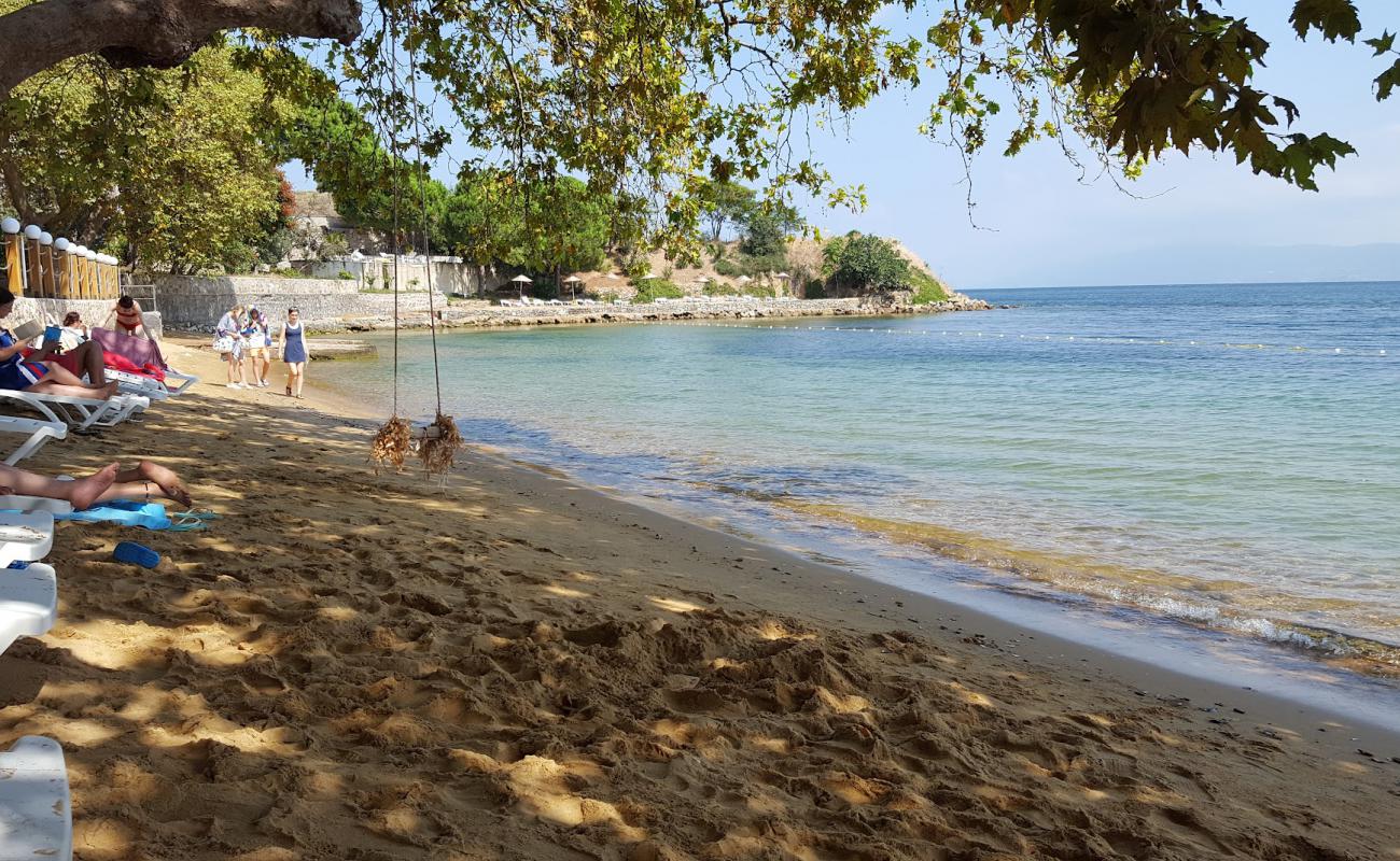 Photo of Tatlisu beach with brown sand surface