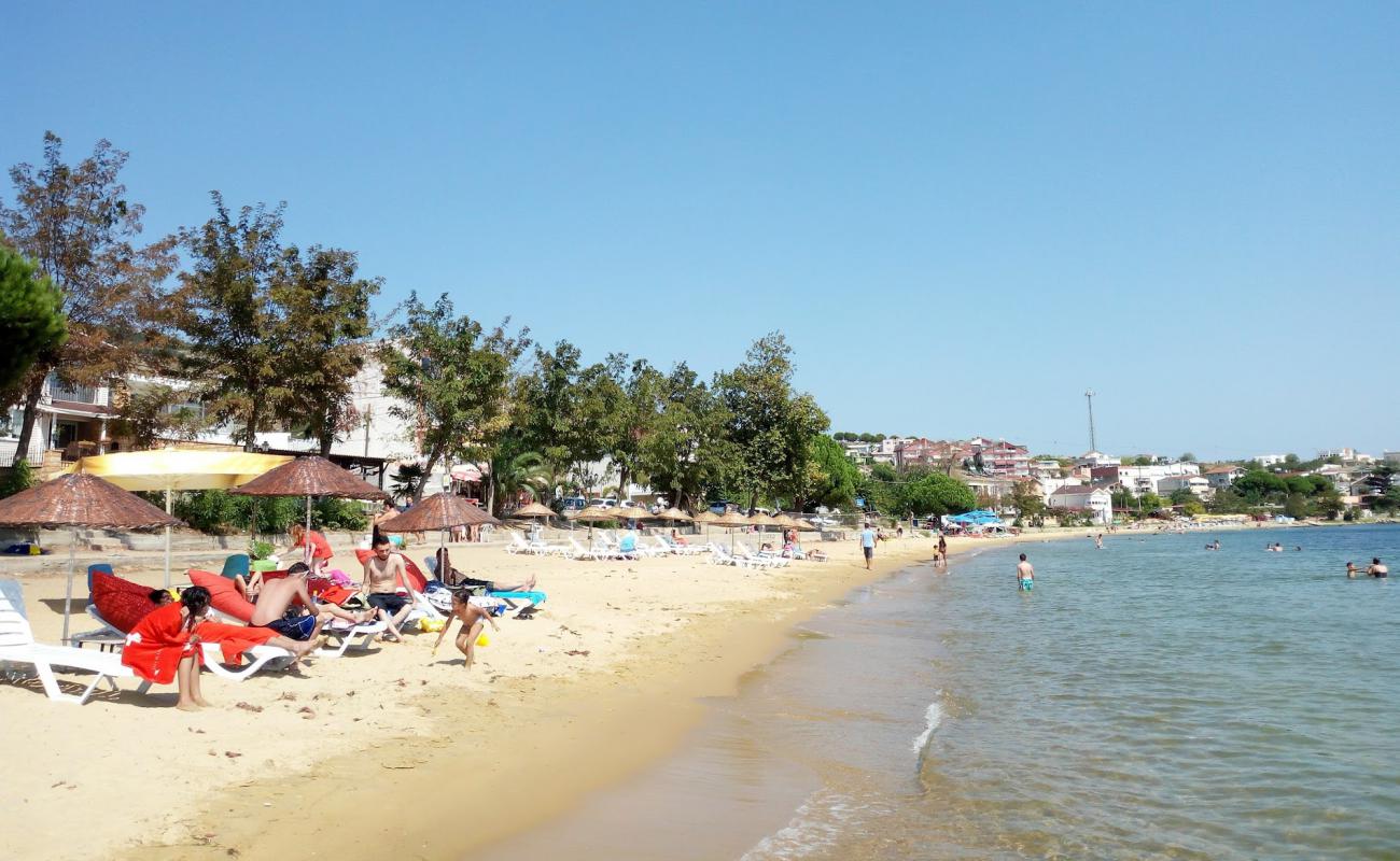 Photo of Tatlisu beach II with brown sand surface