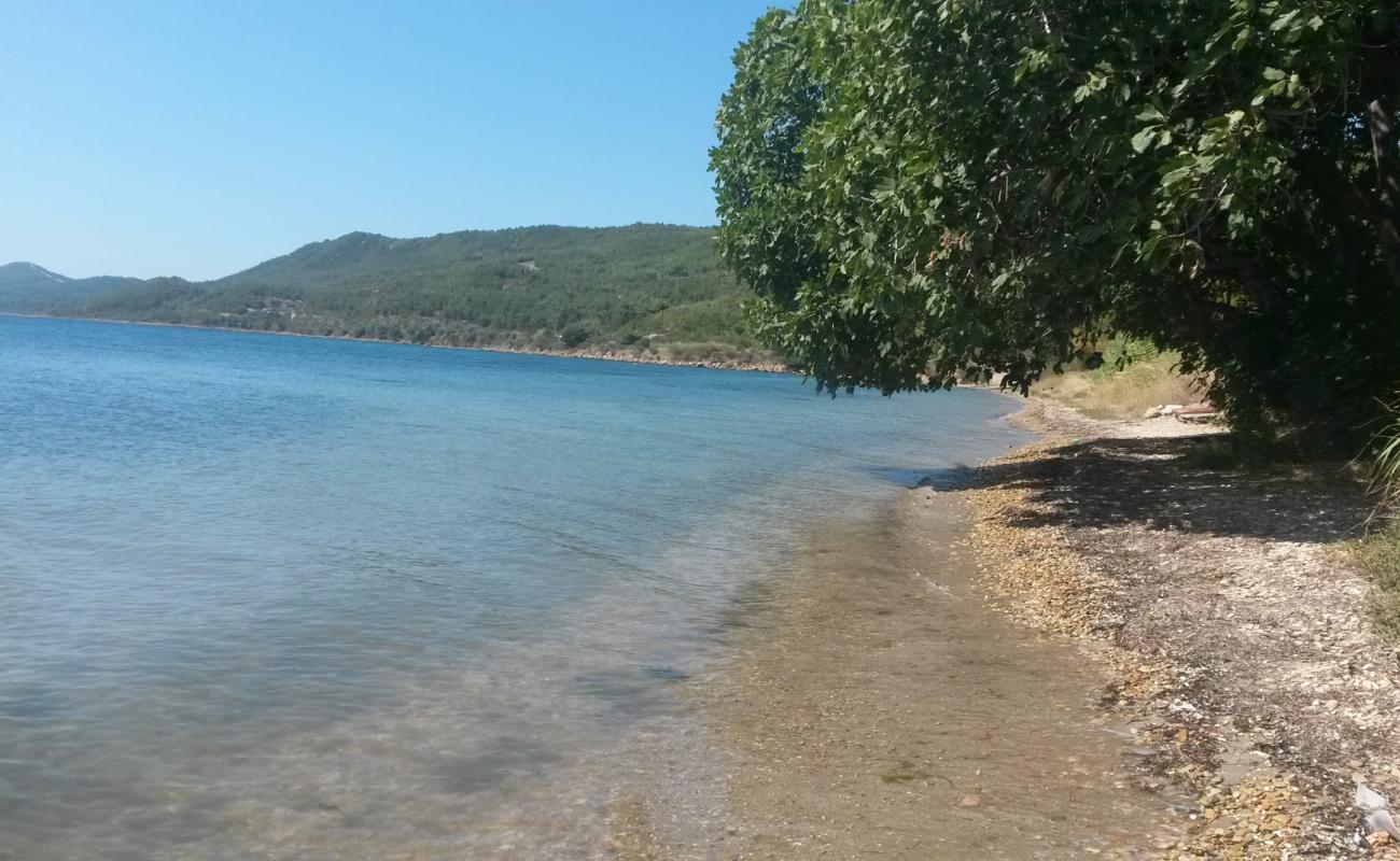 Photo of Pazarli beach with black sand & pebble surface