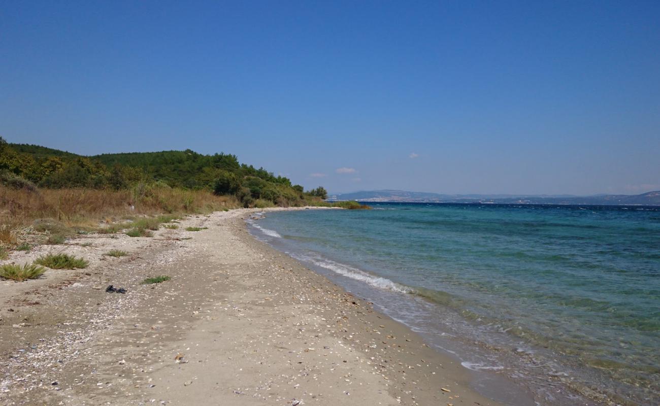 Photo of Alcitepe beach with black sand & pebble surface