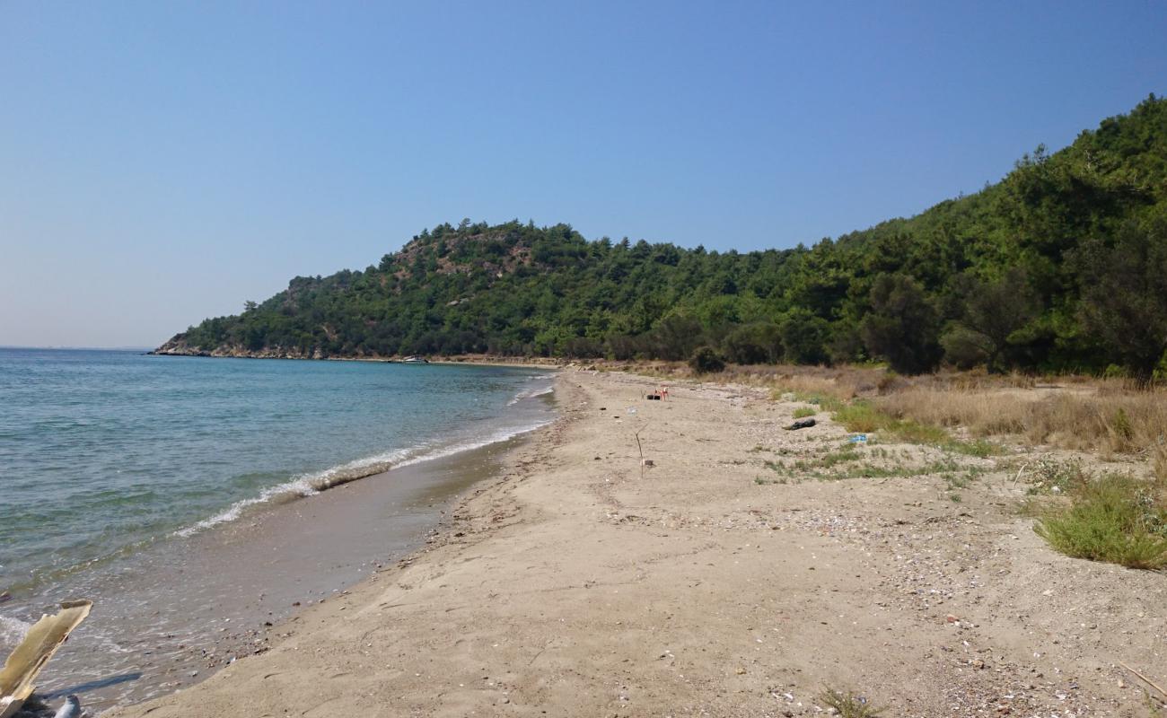 Photo of Alcitepe beach II with brown sand surface