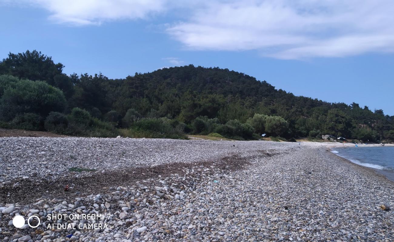 Photo of Sait faik beach II with light pebble surface