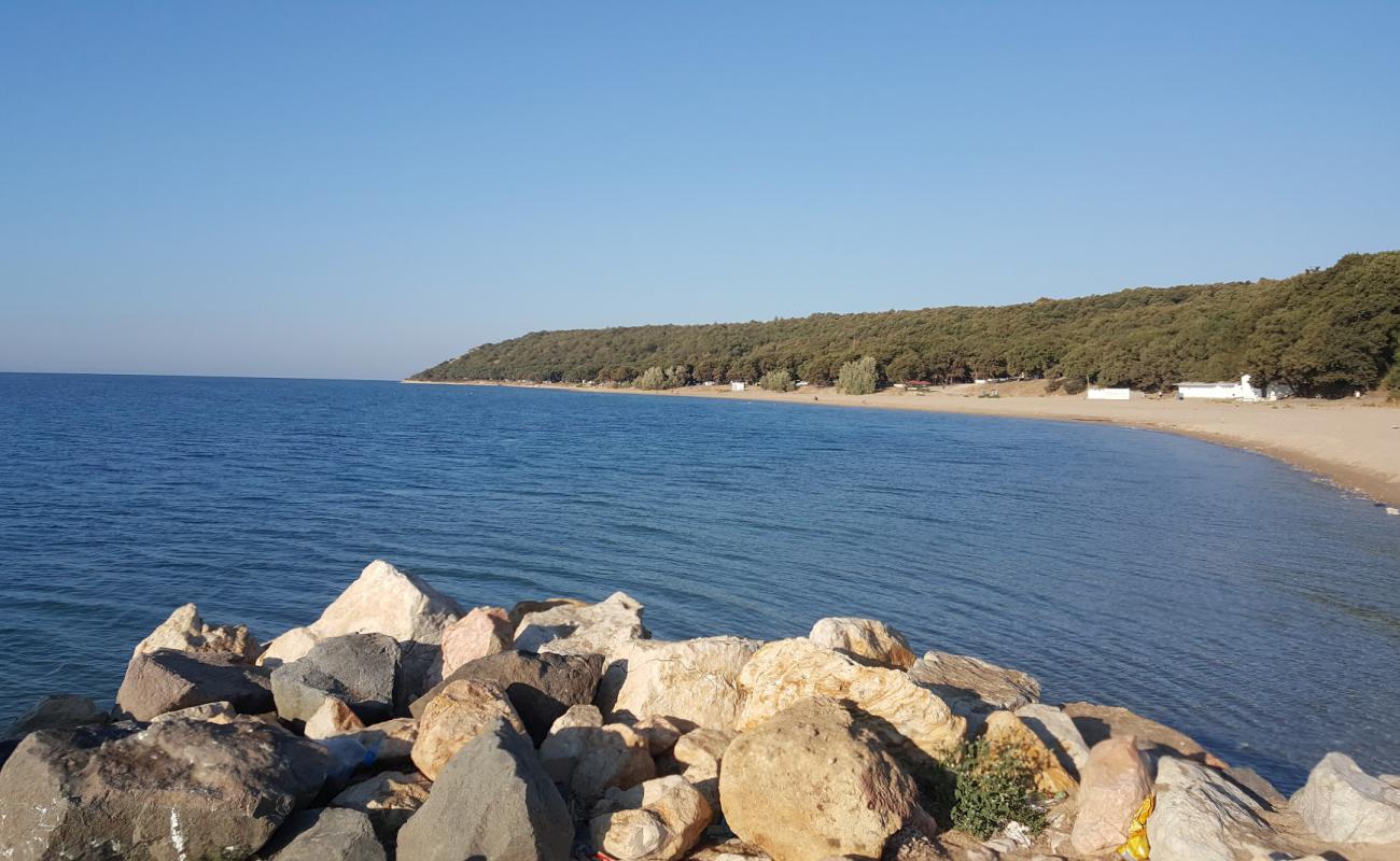 Photo of Erikli beach III with bright fine sand surface