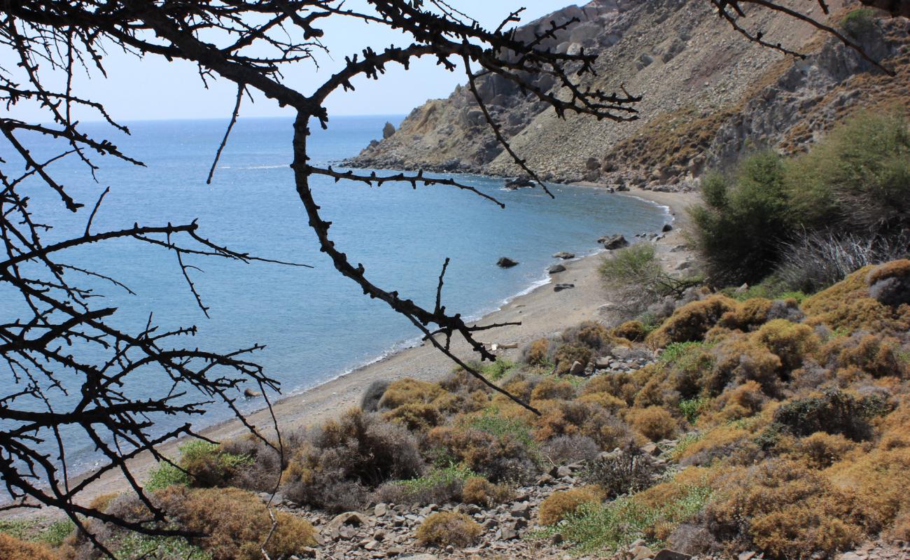 Photo of Zeytinlikoy wild with gray pebble surface