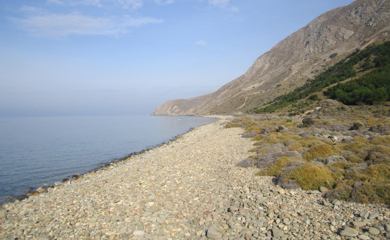 Photo of Derekoy wild with rocks cover surface