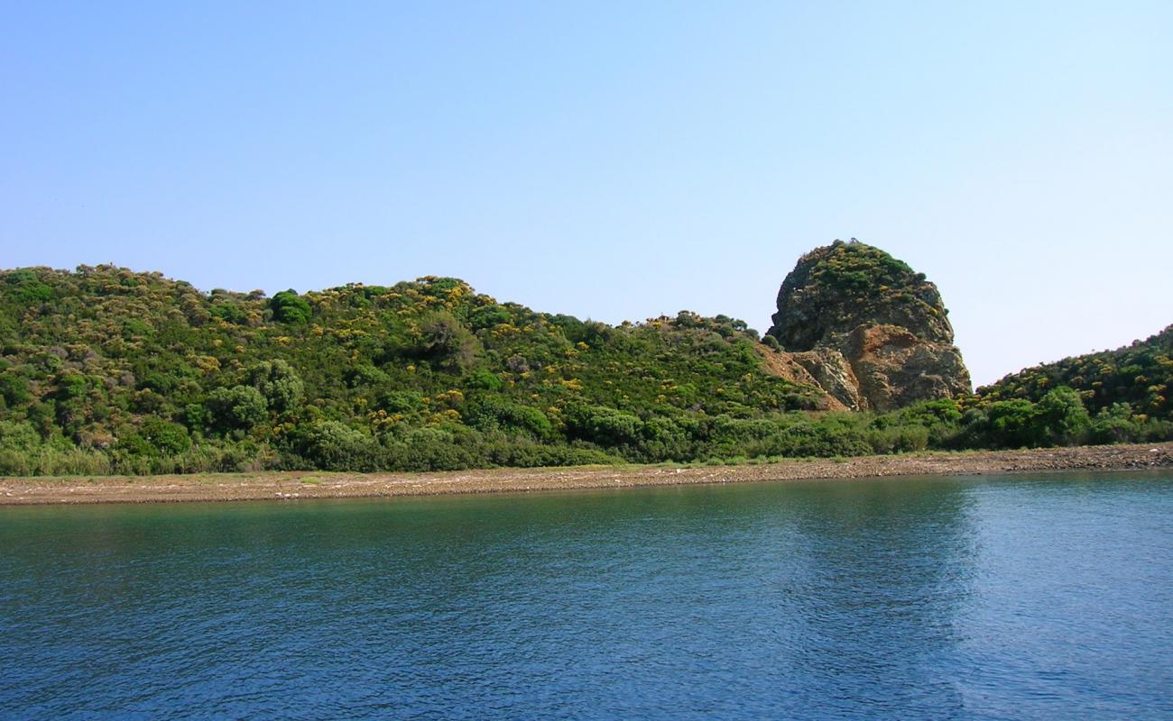 Photo of Daily beach IV with brown pebble surface