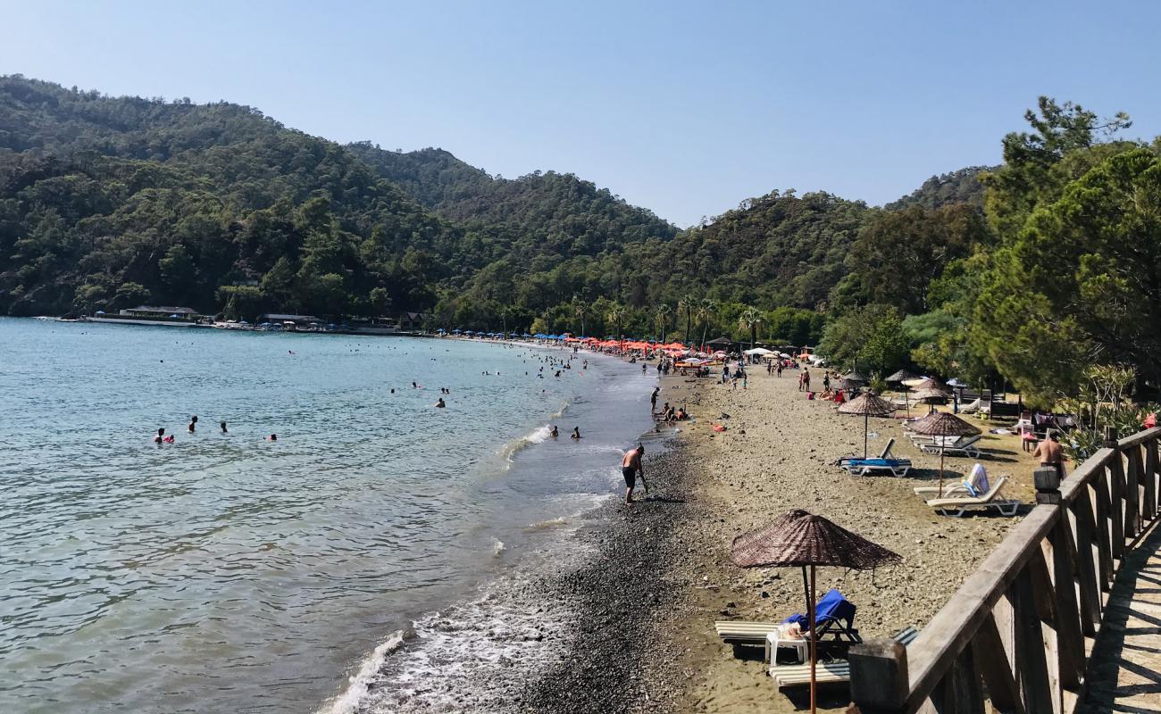 Photo of Daily beach with brown sand surface