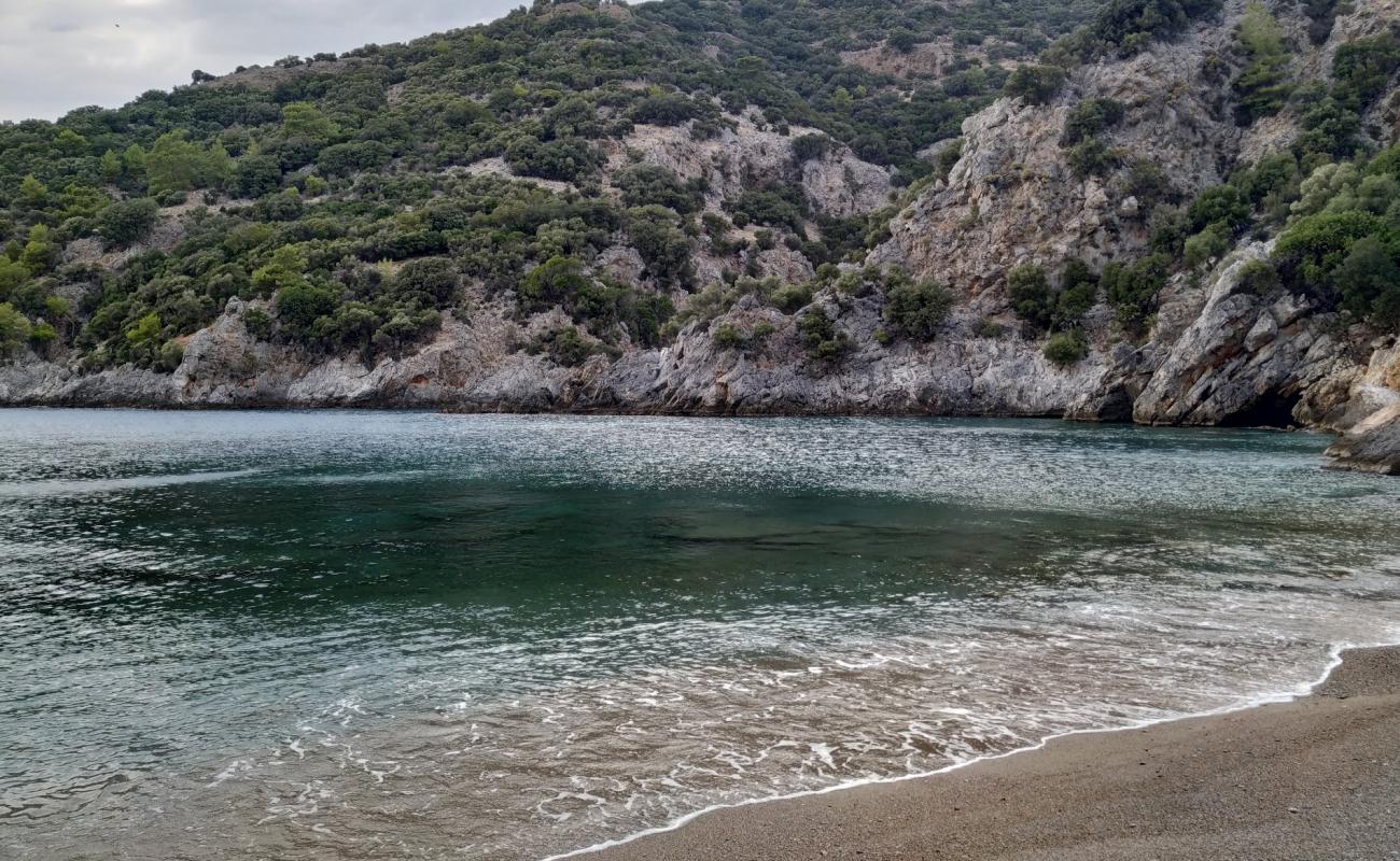 Photo of Vaccine Bay III with bright sand surface