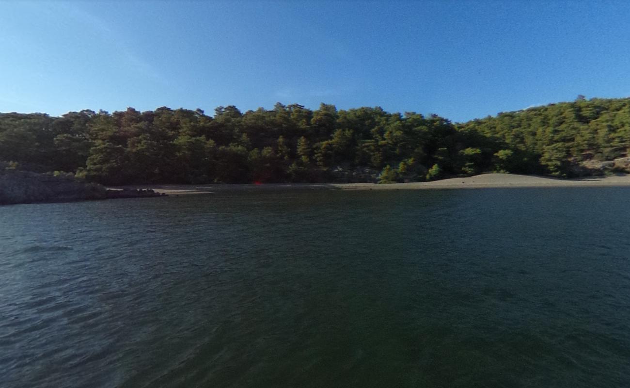 Photo of Iztuzu beach II with spacious shore