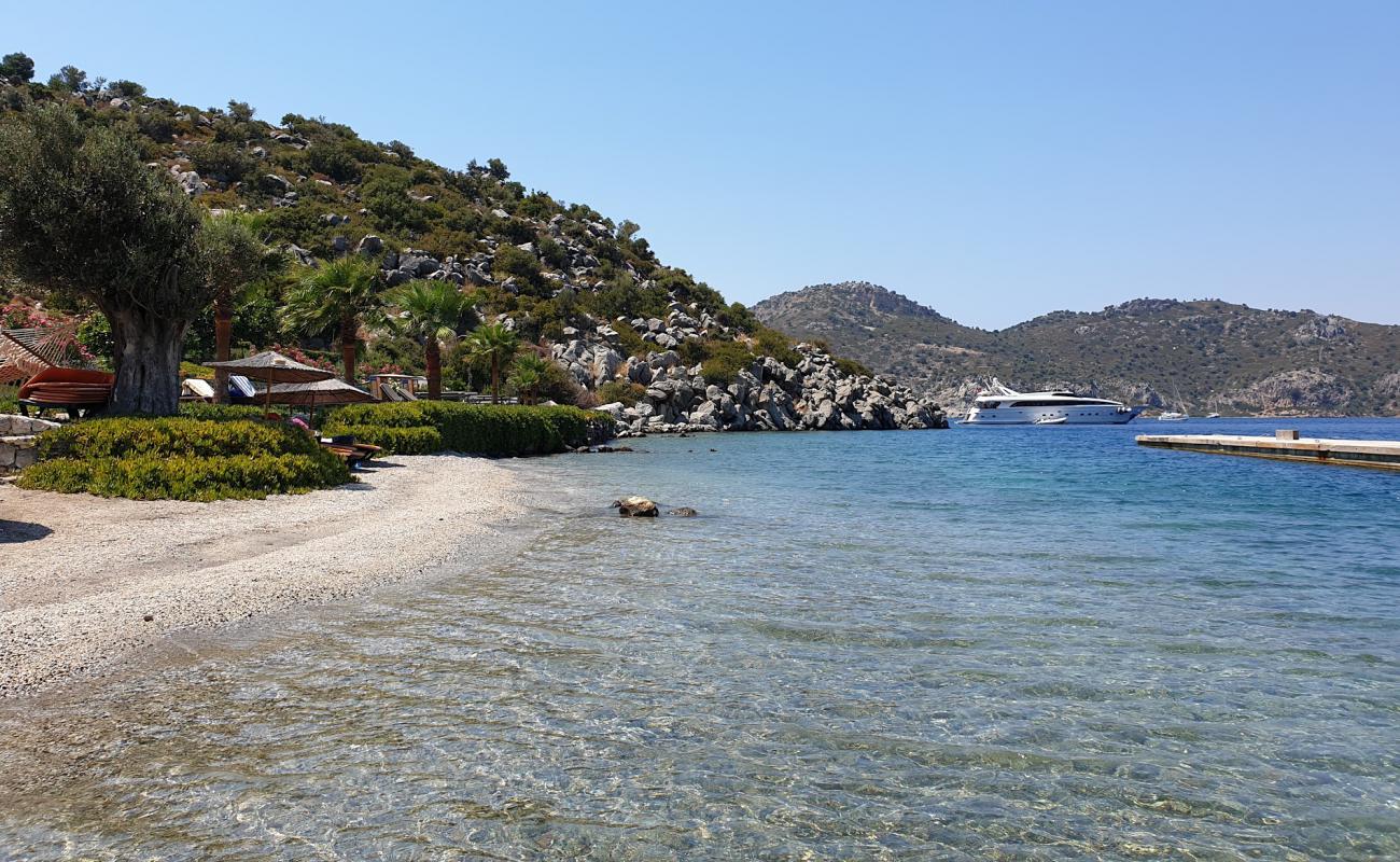 Photo of Kuzbuku beach with light fine pebble surface