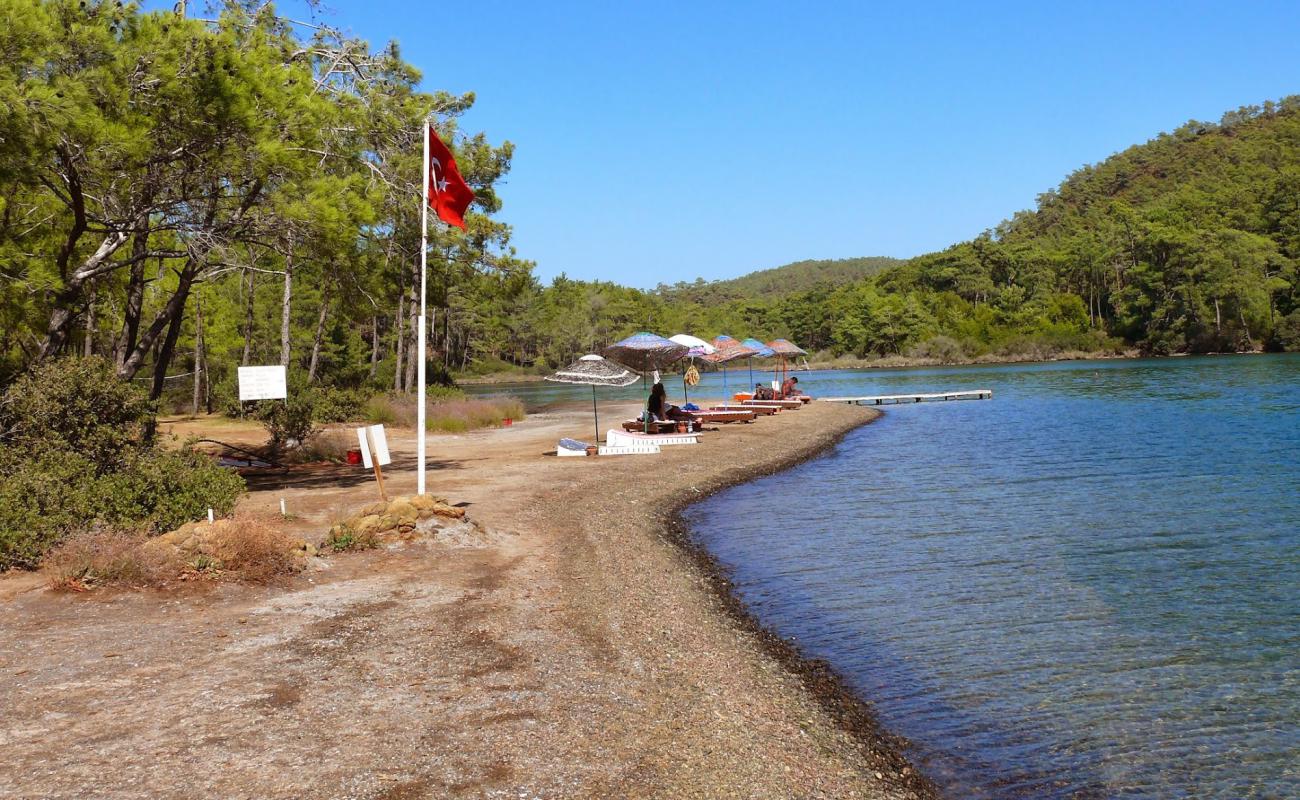 Photo of Izgim beach with light sand &  pebble surface