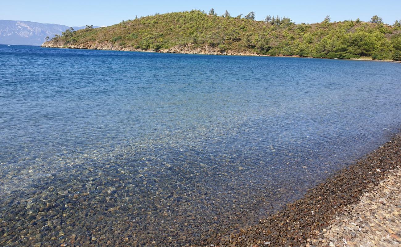 Photo of Cacate Bay beach with gray pebble surface