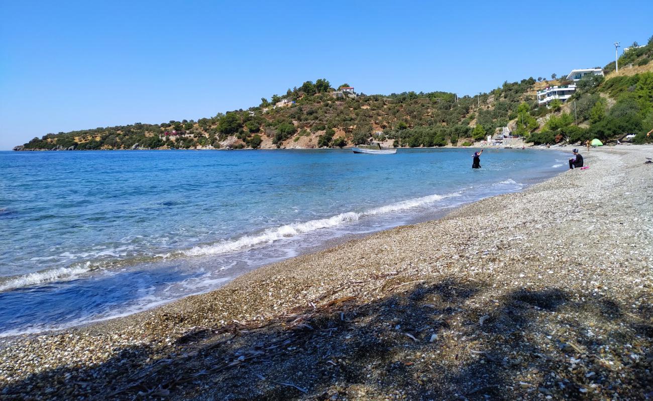 Photo of Ilgin beach with light pebble surface