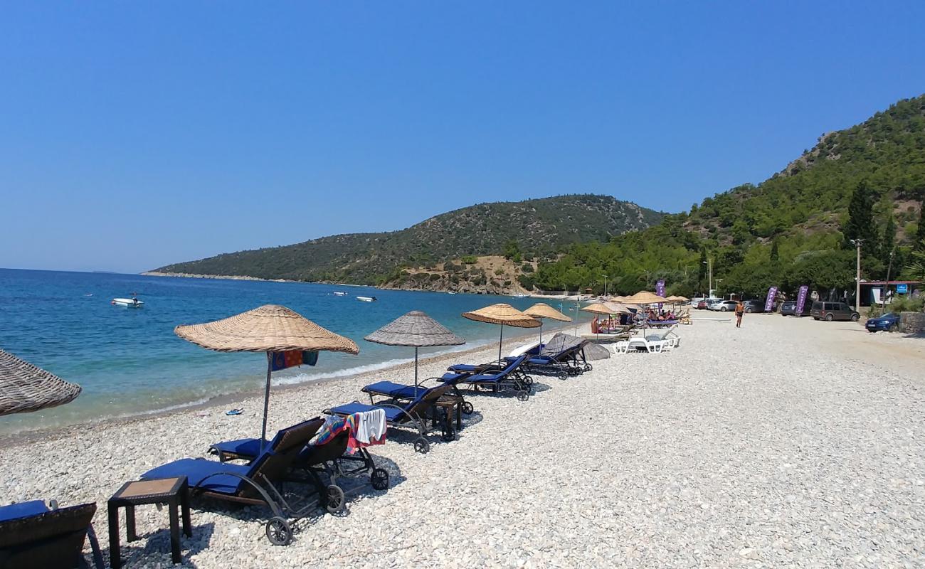 Photo of Ilgin beach IV with light pebble surface