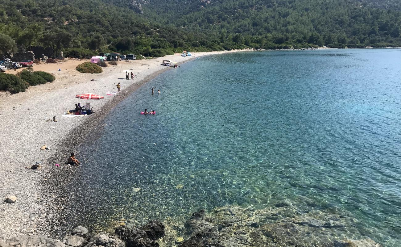 Photo of Kissebuku Bay with gray pebble surface