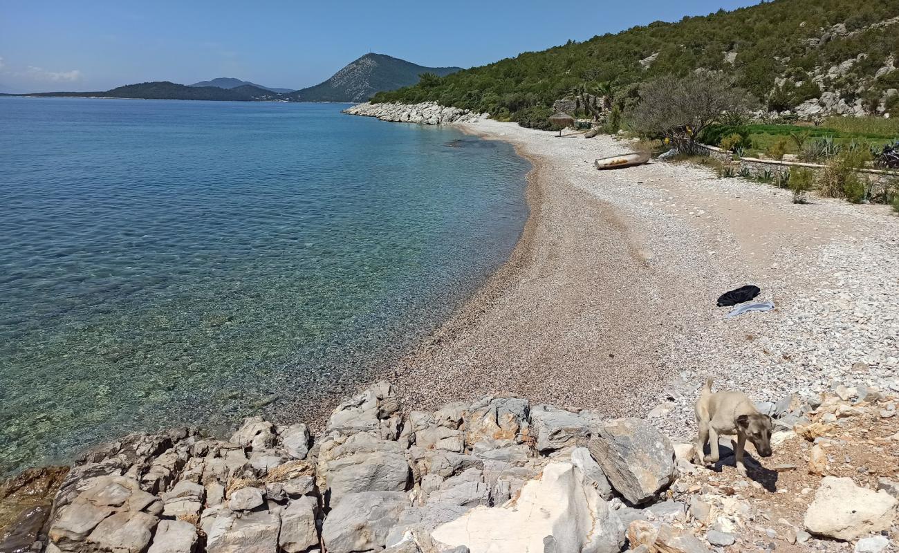 Photo of Dangir Bay with light pebble surface