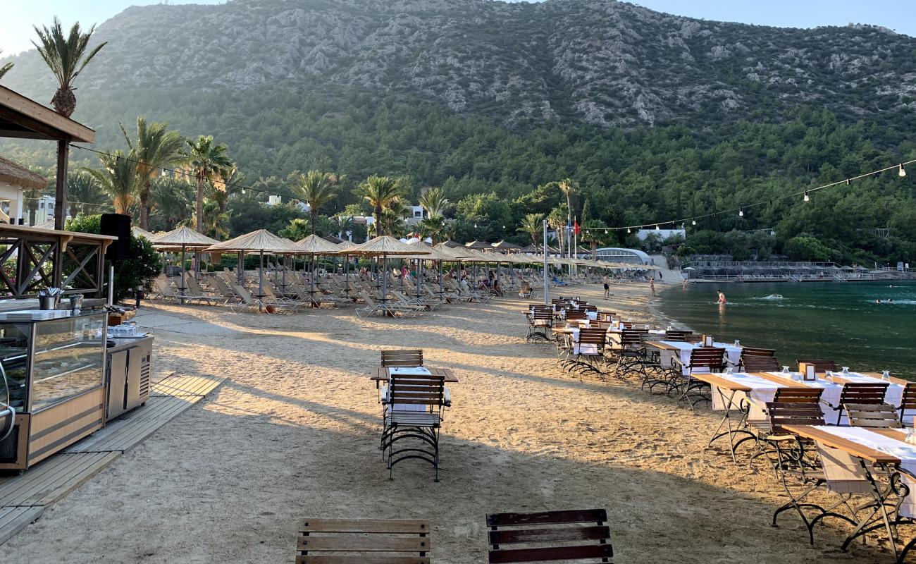 Photo of Hapimag beach with brown fine pebble surface