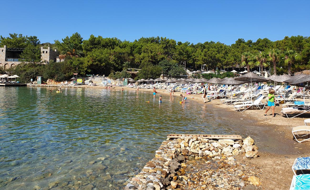 Photo of Bodrum Resort beach with brown fine pebble surface