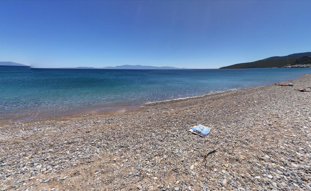 Photo of Yaliciftlik beach with very clean level of cleanliness