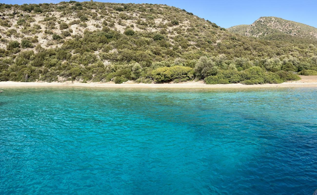 Photo of Rabbit Bay with light pebble surface