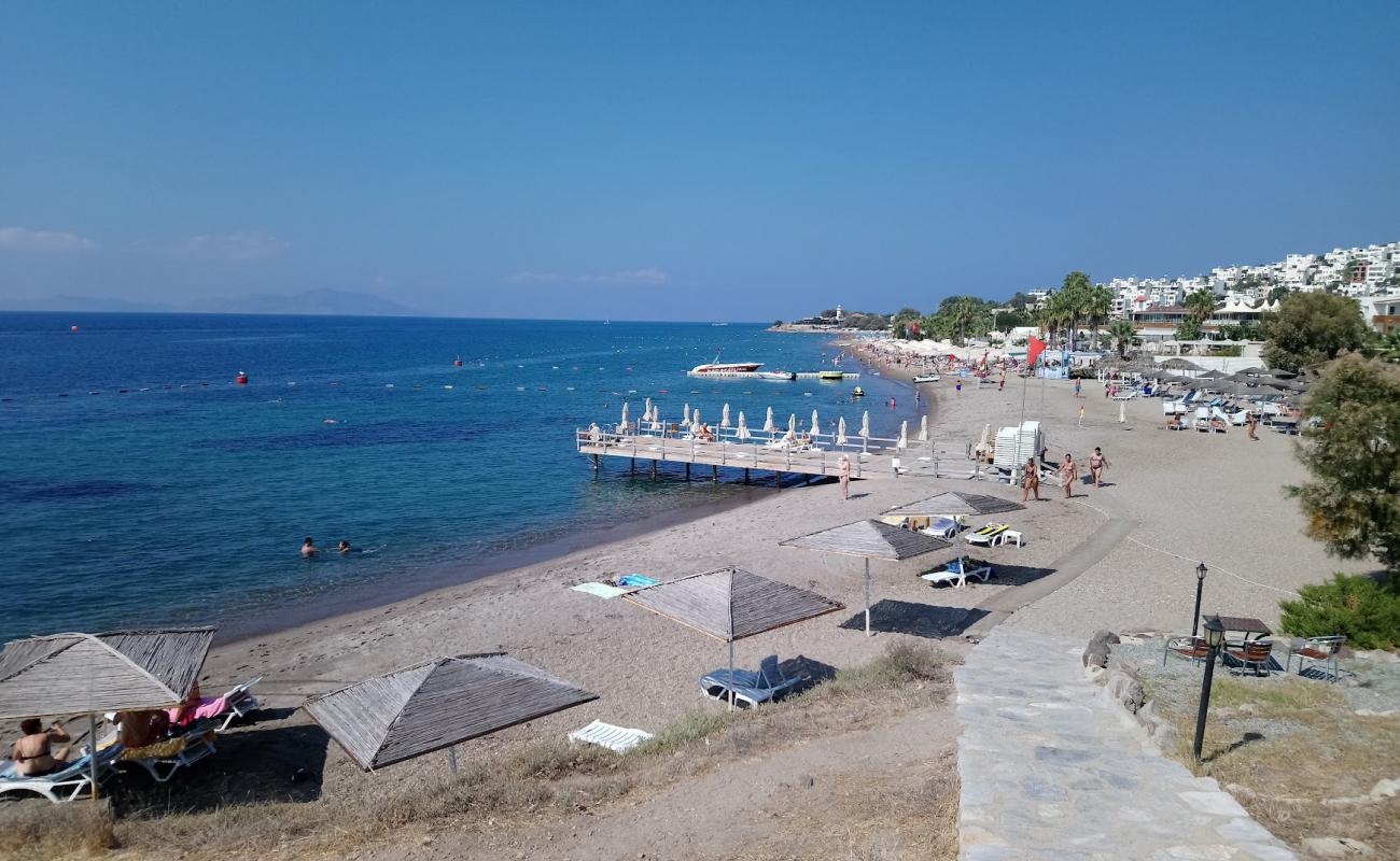 Photo of Sahil beach with light sand &  pebble surface