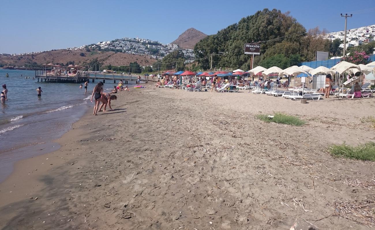 Photo of Karadag beach with brown sand surface