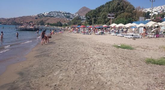 Karadag beach