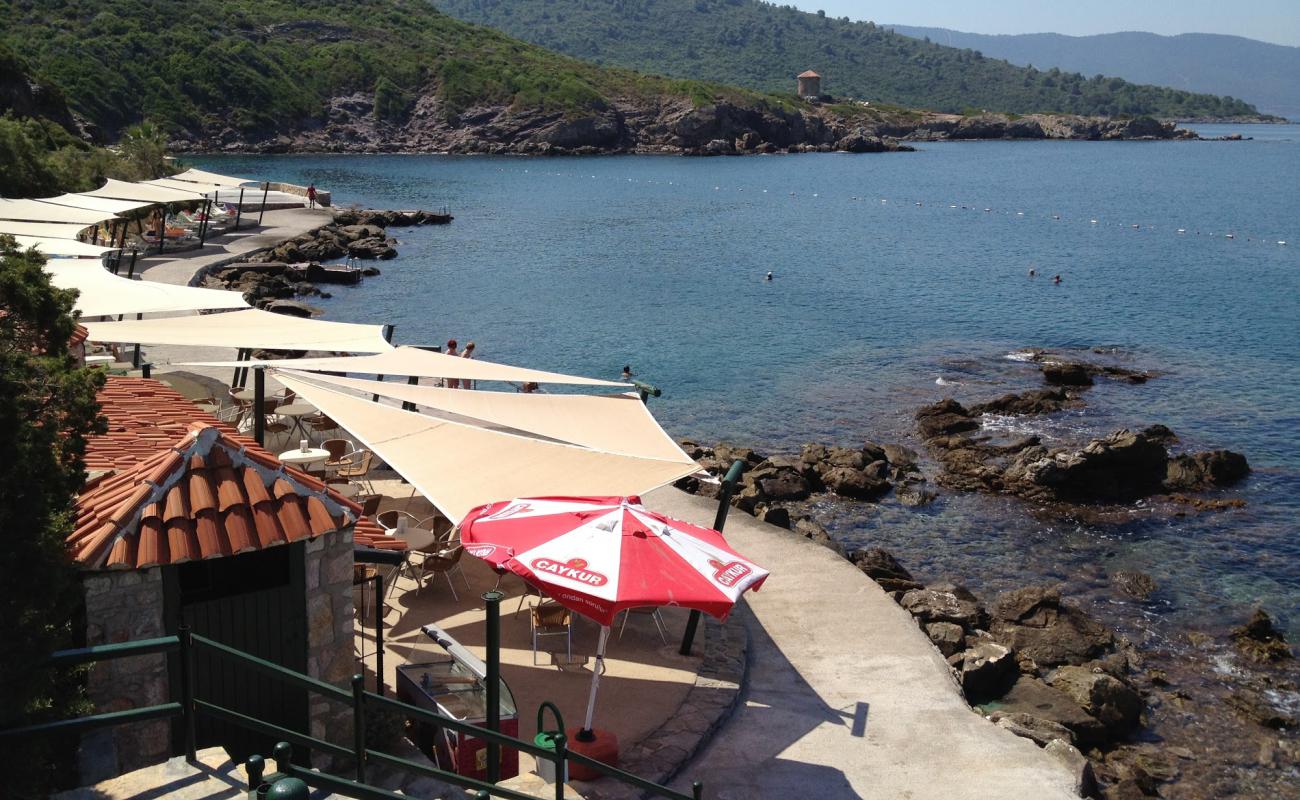 Photo of Le Meridien Beach II with concrete cover surface