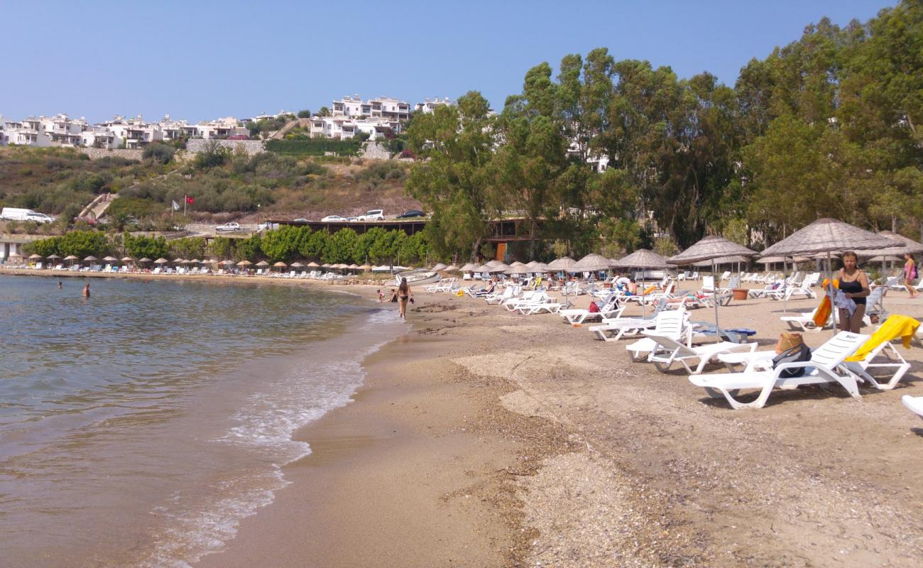 Photo of Basko Beach with bright sand surface