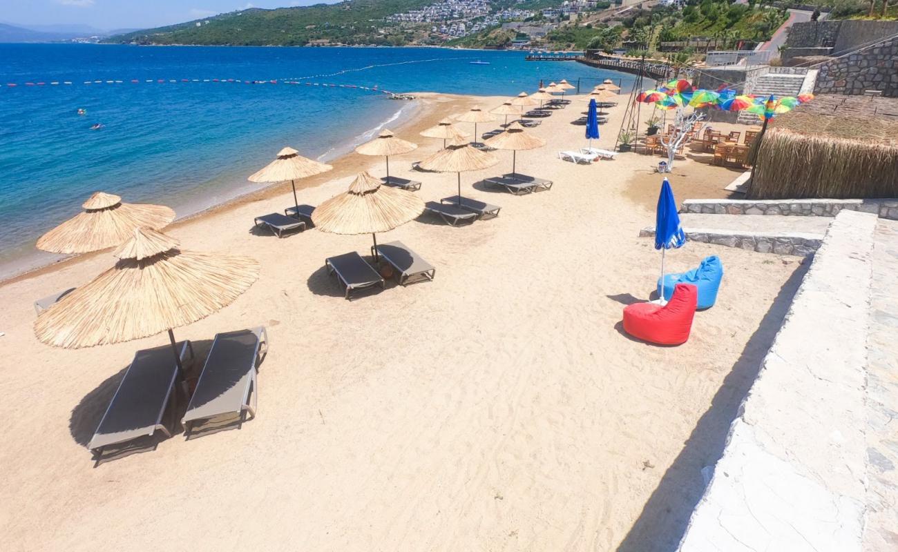 Photo of Fabay Homes Beach with bright fine sand surface