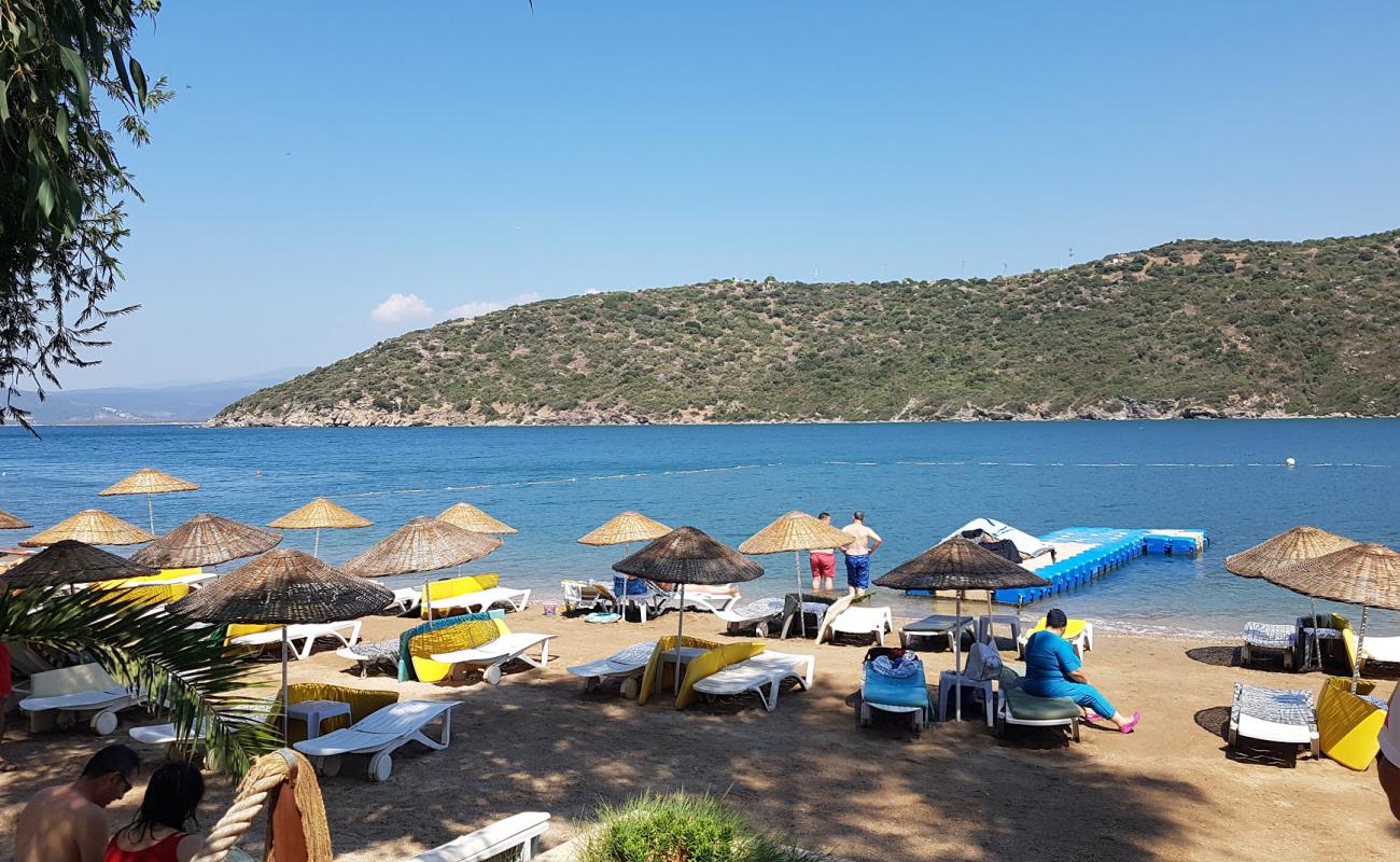 Photo of Yelken Beach with bright fine sand surface