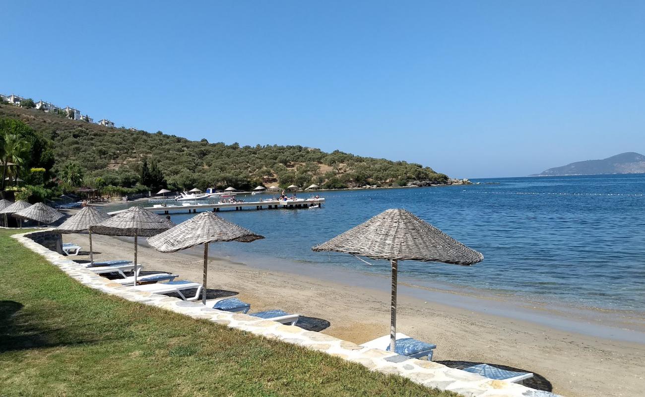 Photo of Medd-inn Hotel Beach with bright fine sand surface