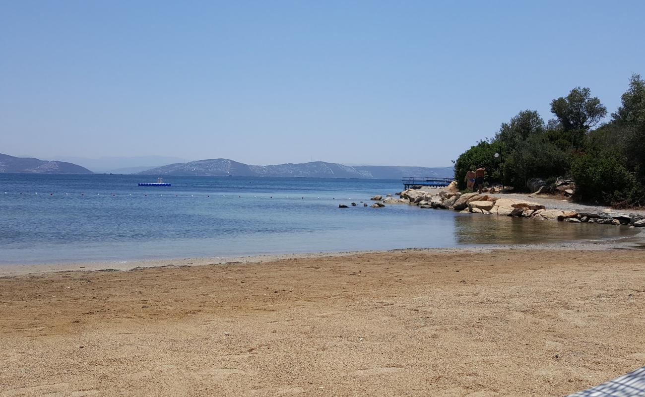 Photo of Tepekoy Cd. beach with light sand &  pebble surface