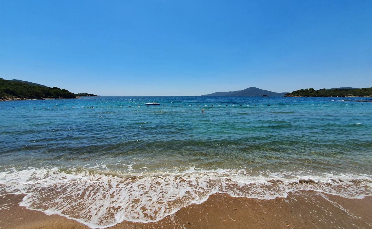 Photo of Ruyam beach with light sand &  pebble surface